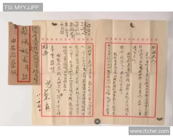 张芳的乒乓球人生：从初心到巅峰的深度对话与反思