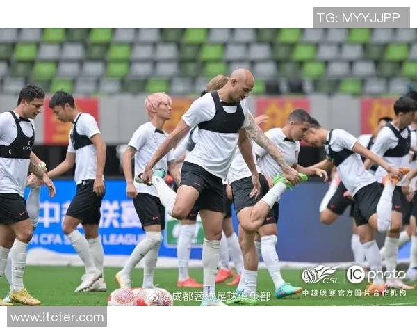 成都足球队近期状态分析与表现评估探讨