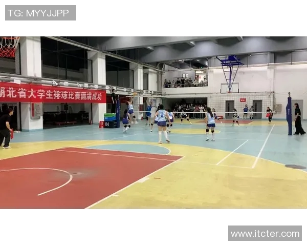 武汉排球队逆袭之旅的真实记录与奋斗精神展现