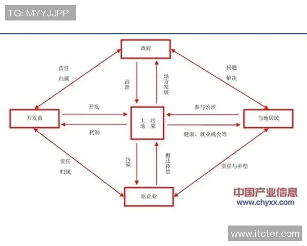 深圳排球队运营策略深度解析与发展前景展望